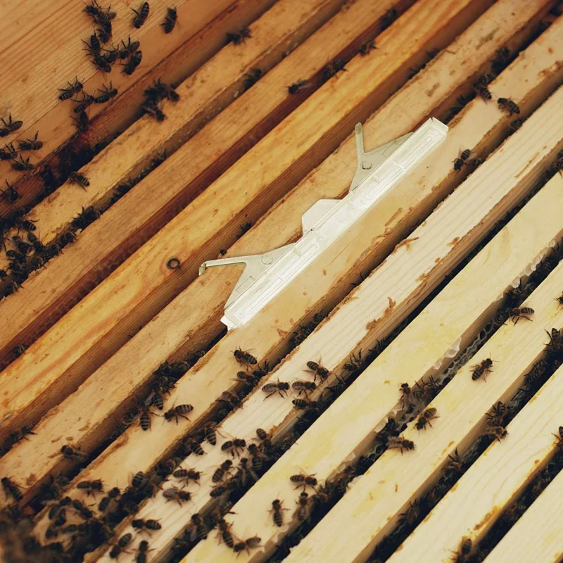 Beekeeping Tools Beetle Trap Collector Beehive Nest Insect Net | Дом и сад