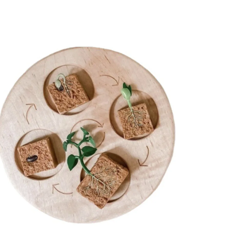 

Доска с жизненным циклом Монтессори, учебные пособия, животное или искусство, подарки на Рождество, дошкольное образование для детей 3-6 лет