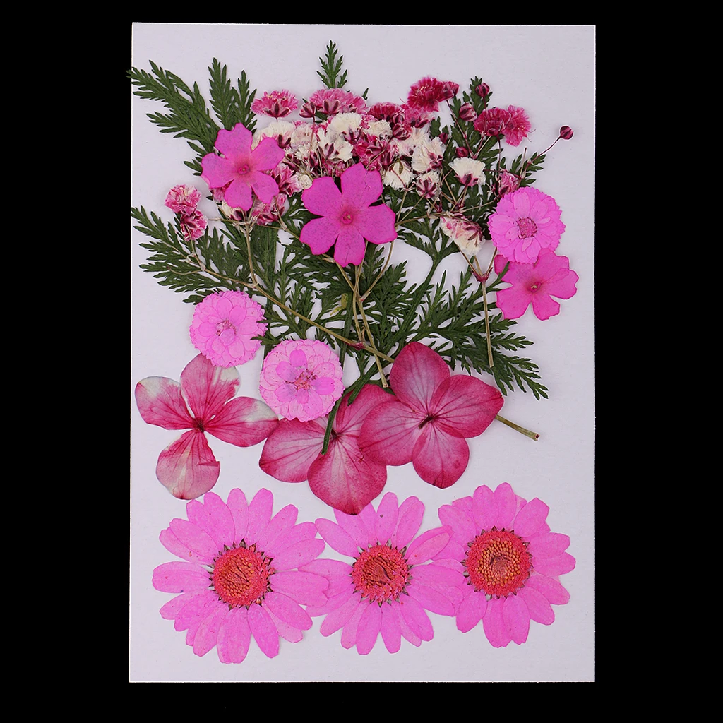 Много Смешанных реальных прессованных цветов Сушеные Цветы Скрапбукинг чехол