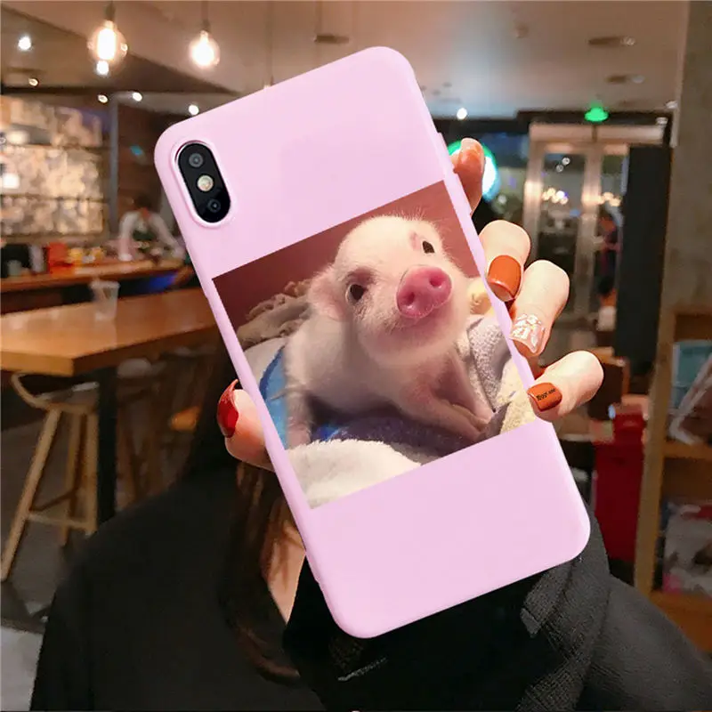 Pink TPU F3183 Забавный чехол для телефона с рисунком поросенка для iphone 11 Pro XS MaxX XR чехол для iphone 6 S 5 5S 7 8 plus Мягкий чехол милые Чехлы для пар - Цвет: Pink TPU F3183