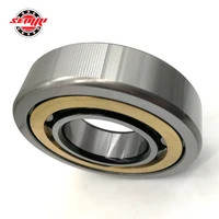 300x540x85mm Large Size Cylindrical Roller Bearing NU260 M