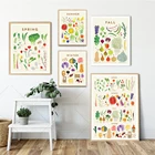 Фрукты и овощи, художественные принты, сезонное Руководство по производству картины на холсте, фотография стены плакат растений для кухни, домашний декор