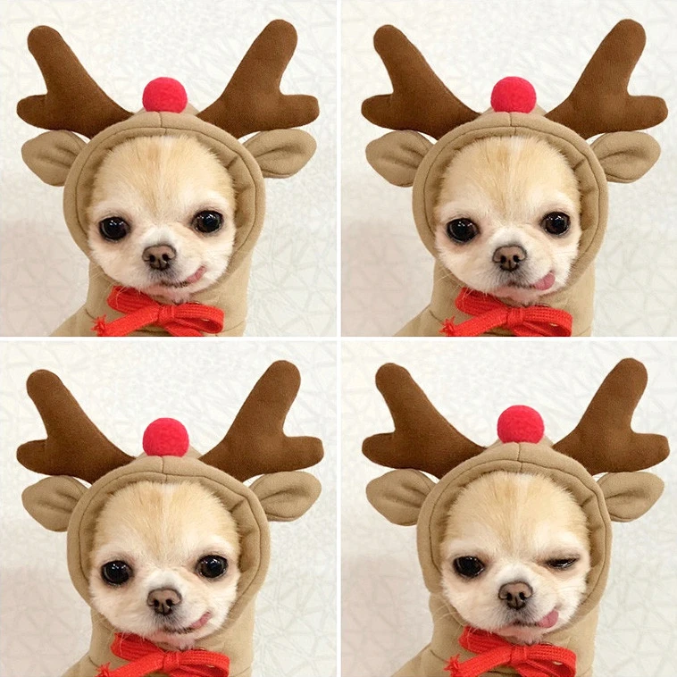 

Autumn and winter clothes pet Christmas elk transform into Teddy Bichon Hiromi VIP cat Schnauzer small dog dog clothes