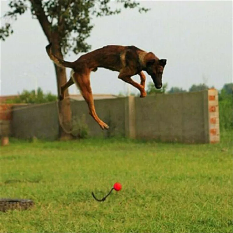 

Dog Ball Tug Balls for Pet Puppy Toys on a Rope Indestructible Pet Chew Toys