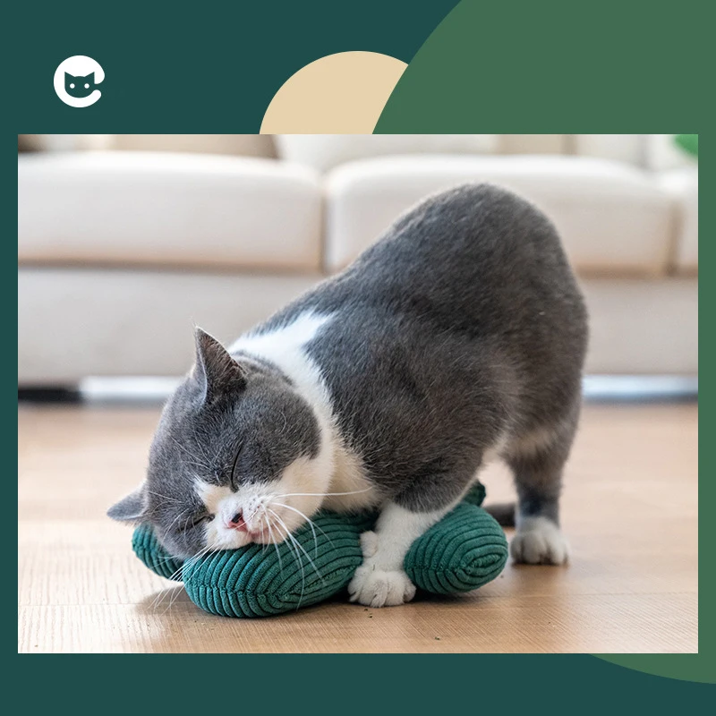 Cat toy cactus cat Toy cat Peppermint toy cat toy bite and grind teeth Cat decompresses claws