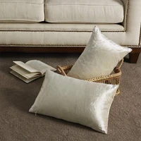2 pack ivory decorative cushions covers cases for sofa bed couch modern luxury velvet home throw pillows covers silver 30x50