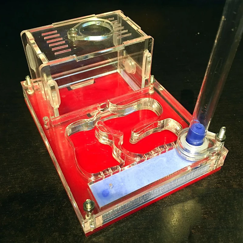 Акриловое гнездо для альпинизма виллы муравьев площадка активного отдыха с