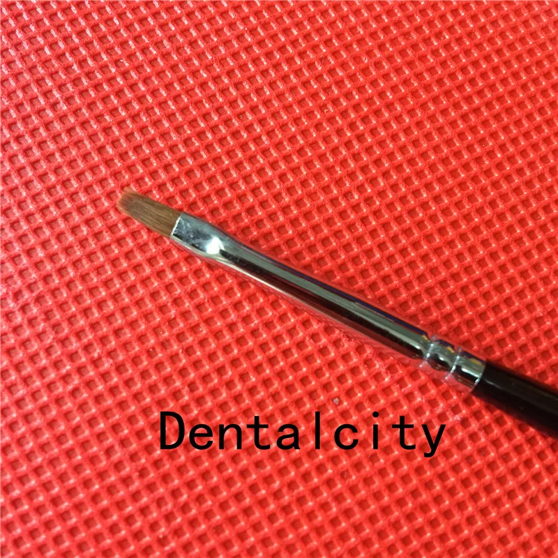 5 шт. стоматологические фарфоровые кисти F0|Модель зубов с орто-металлическим