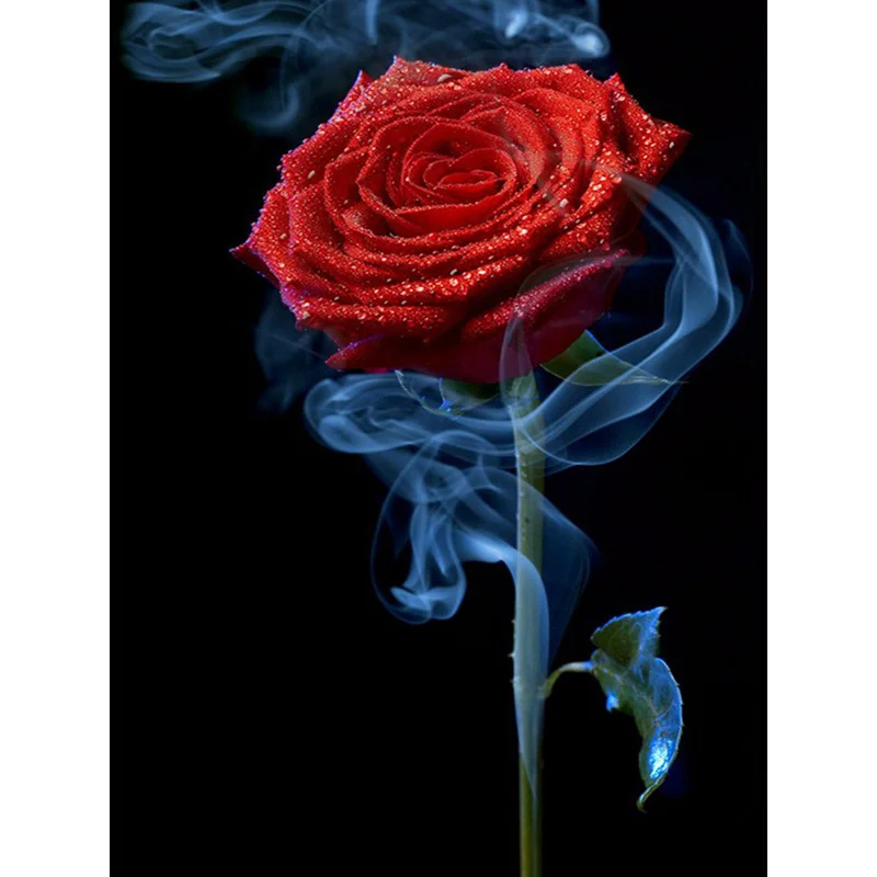 Алмазная 5D картина сделай сам роза квадратная круглая алмазная вышивка мозаика