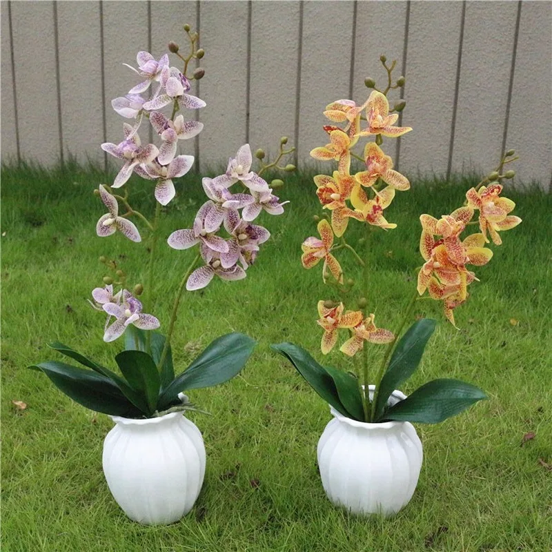 3 вилки Восточной Азии Орхидея Cymbidium Faberi искусственный цветок сохраненный свежий