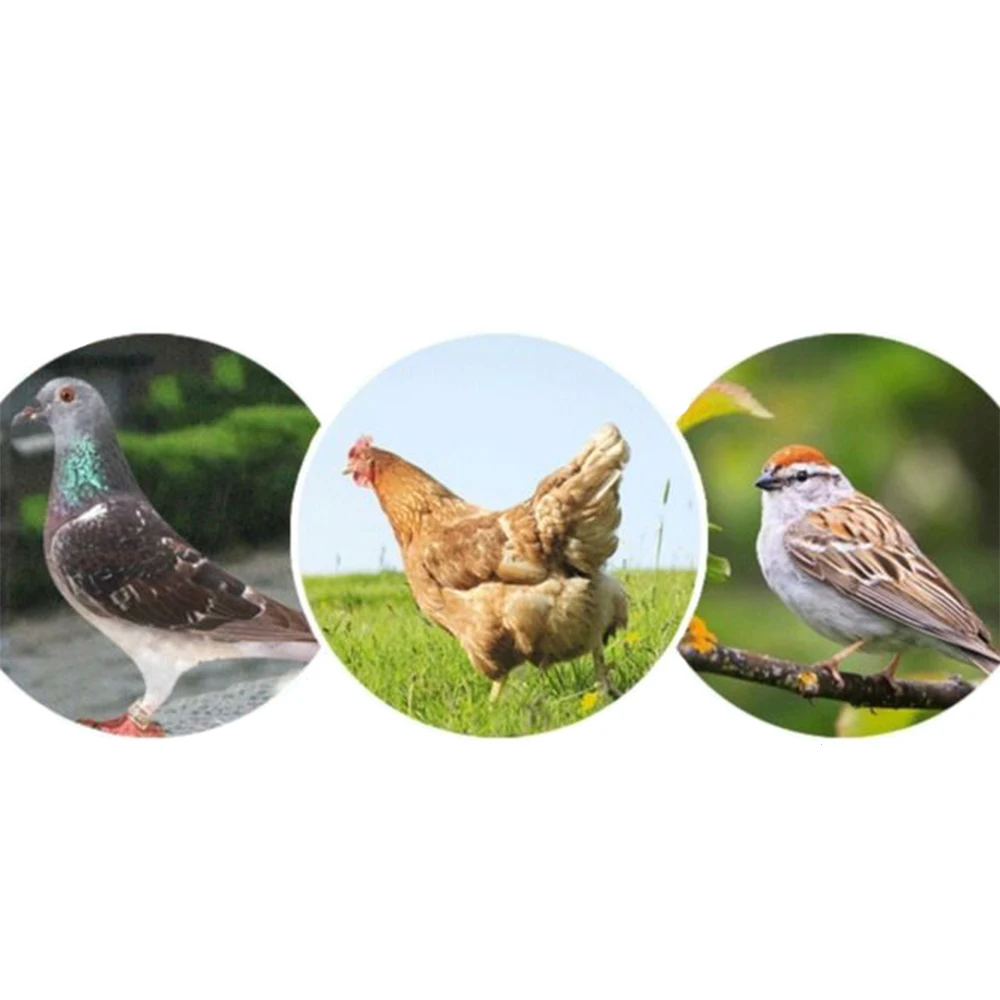 Кормушка-раскладушка для птицы пластиковый инструмент с 16 отверстиями кормления