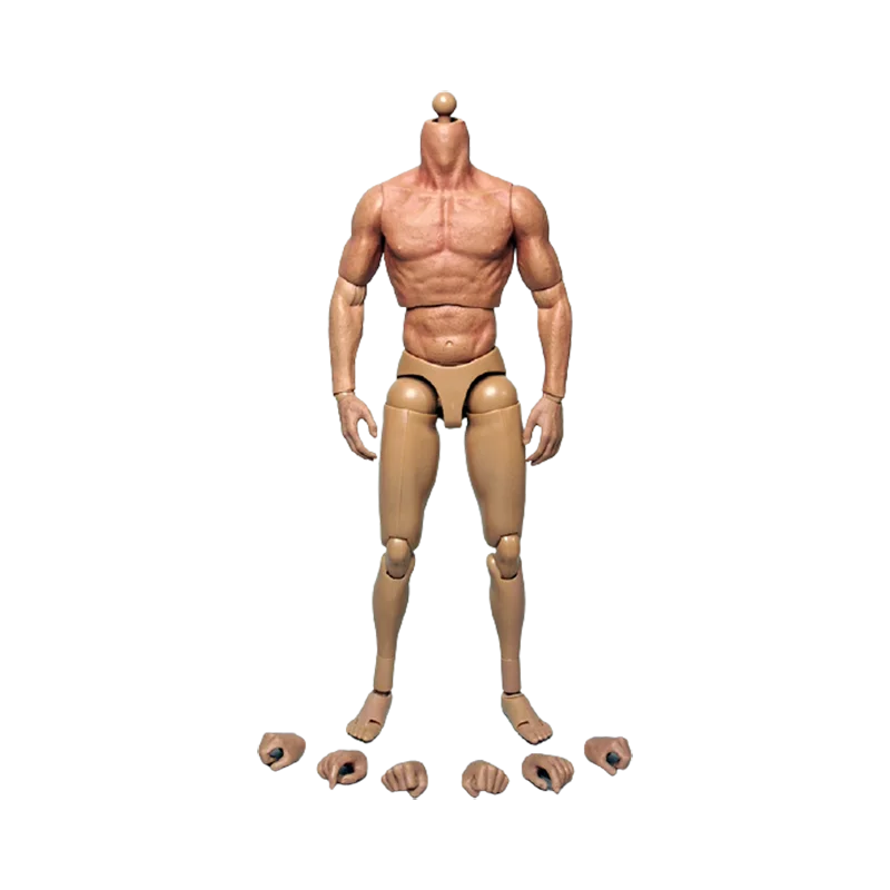 

1/6 Scale Soldier Body Perfect Muscle Body S002 12 Inch Action Figure Body Model Toy