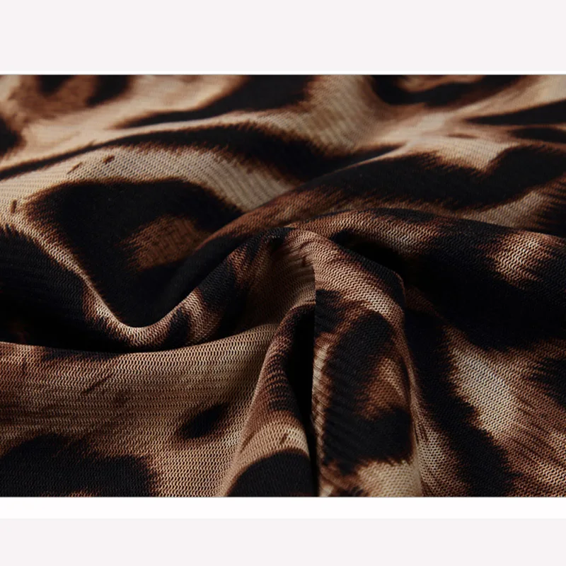 

T-shirt Female 2019 Autumn Winter New Fashion Sexy Leopard Womens Tshirt V Neck Elegant Mesh Long Sleeve Tops Tees 4XL