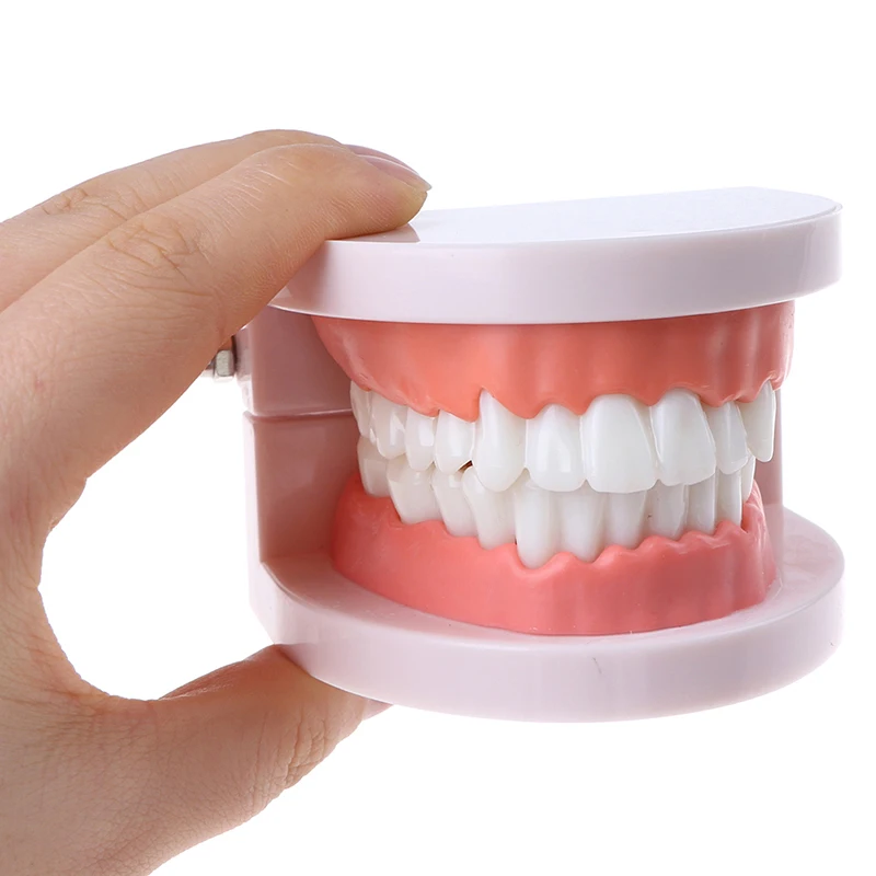 Детские игрушки для чистки зубов веселая модель зубных протезов Обучающие