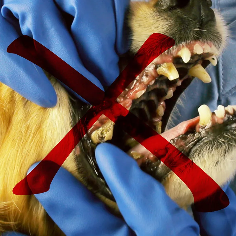 Зубная щетка для собак зубная чистки зубов животных щенков уход за зубами