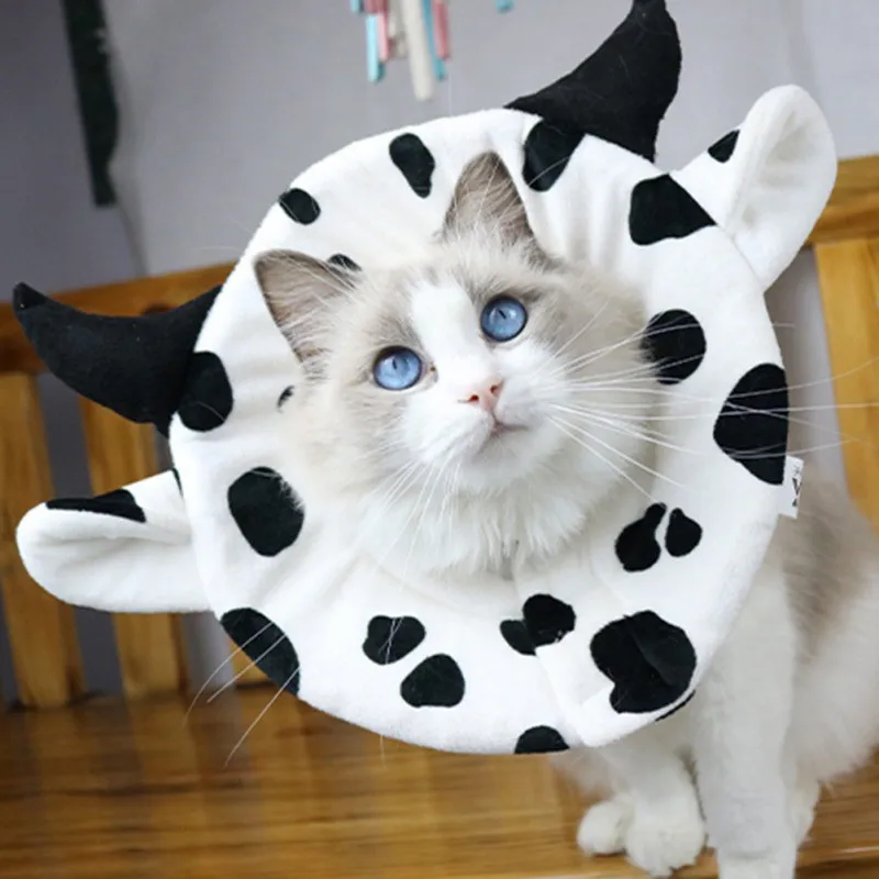 Ошейник для домашних животных кошек и коров защитный чехол товары | Дом сад