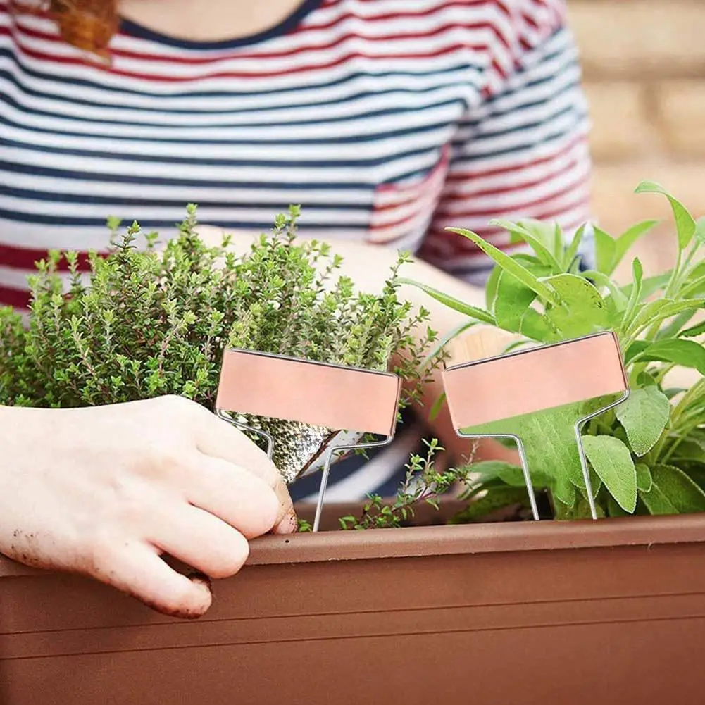 

20Pcs Plant Labels Copper Plate Metal Plant Labels Stake Tags Garden Markers Gardening Planting Reusable O7V5