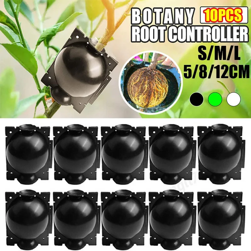 10 шт. оборудование для укоренения растений коробка - Цена: 1940.41