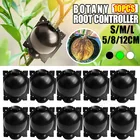 10 шт. оборудование для укоренения растений, коробка для трансплантации шаров высокого давления, чехол для прививки в саду