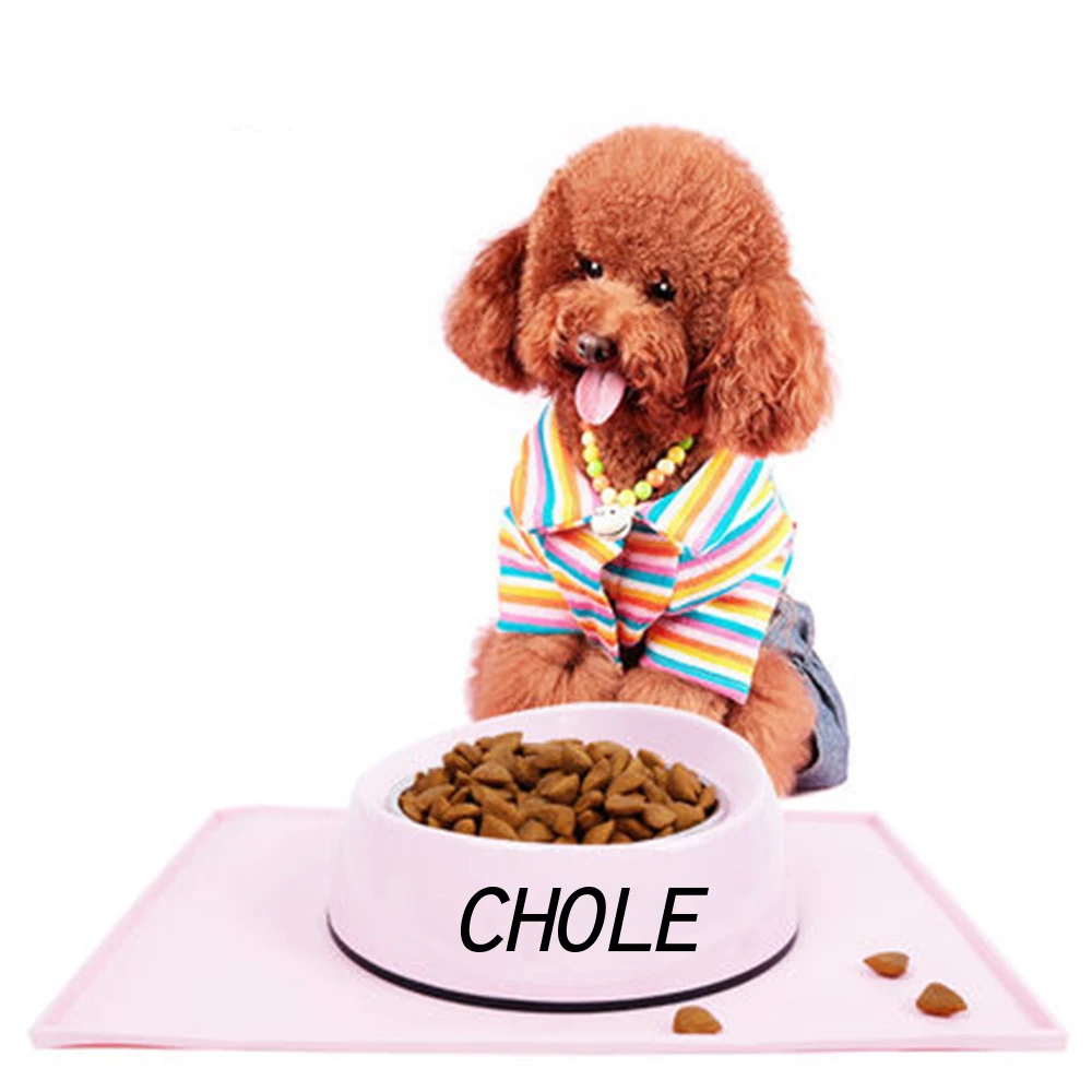 

Free Customized Pet Name Dog Bowls Stainless Steel Melamine Puppy Food Water Bowl For Dogs Cat Feeding Pet Supplies