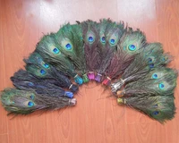 %d0%bf%d0%b0%d0%b2%d0%bb%d0%b8%d0%bd50pcslot beautiful multicolor tail feathers10 12inches 25 30cm longloose tail feathers11colours for choice