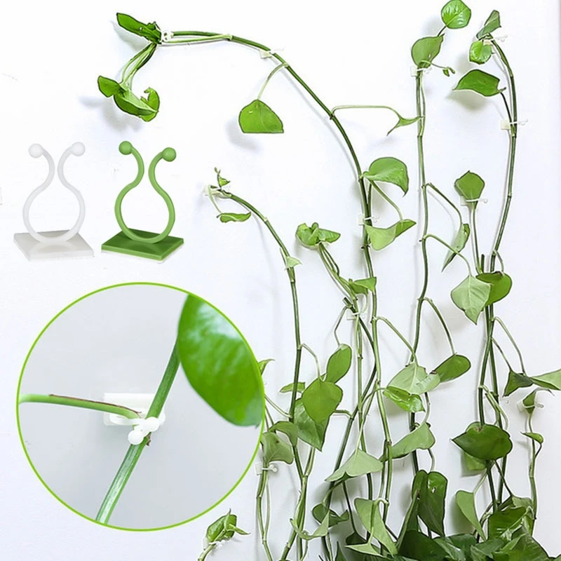 Самоклеящаяся фиксированная застежка-крючок для подъема растений настенный