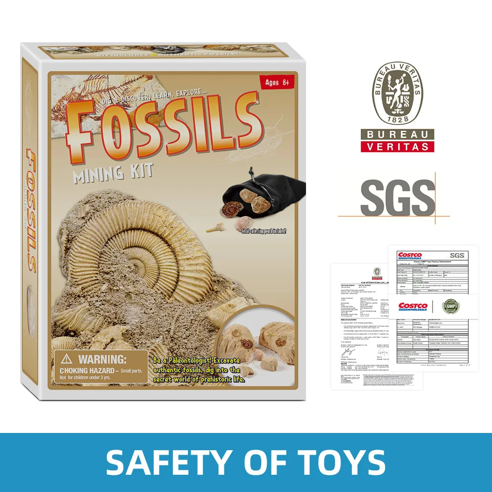 

Digging up Fossils Toy Set Pretend To Be Archaeological Excavation Science Exploration Fossils Mining Kit Assembly Gifts