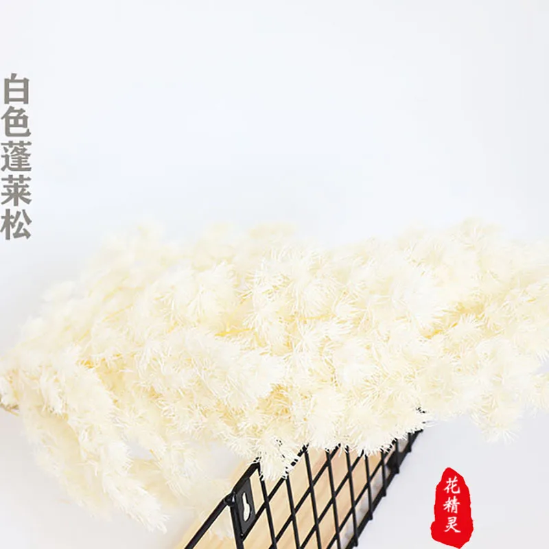 

90-100G Everlasting Penglai Pine Dried Flowers without shipping 10.21