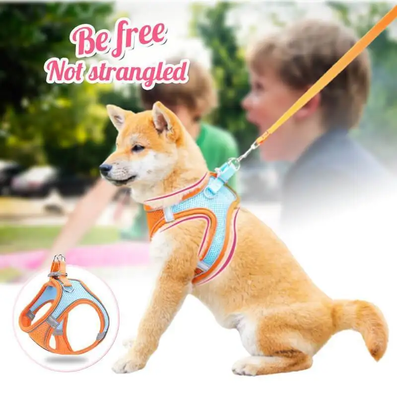

Vest Leash Reflective Dog Harness With Leash Breathable Adjustable Nylon Pet Accesorios For Chihuahua Small Large Dog One Piece