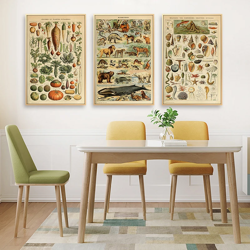 

Classic Flowers Butterfly Posters Vintage Room Decor Pictures Antique Poster Canvas Painting Mushroom Herbs Wall Art Pictures