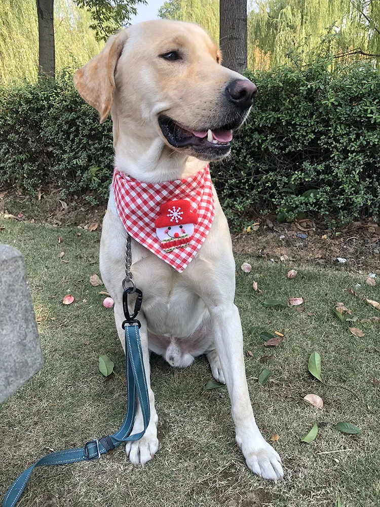 30 шт. рождественские товары для домашних животных хлопковые регулируемые