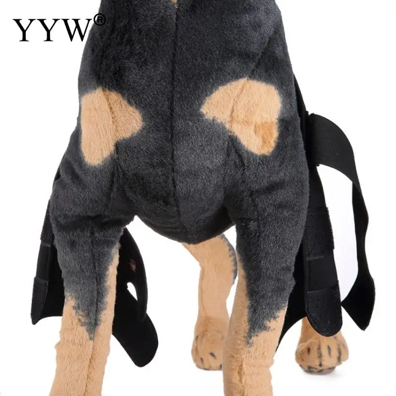 

Pet Products For Dogs Care Kneepad Dog Leggings Dog Dog Pet Protector Dog Surgery Injury Protective Cover Rubber-Sbr Pet Kneelet