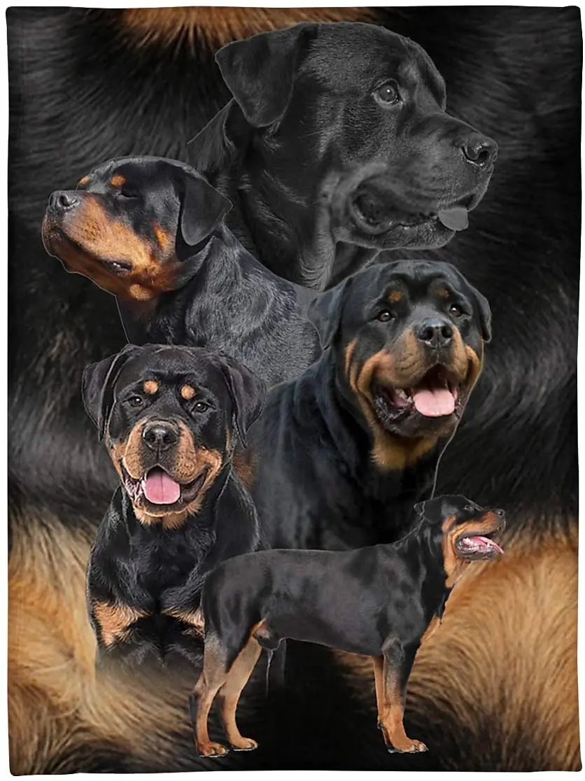 

Флисовое одеяло Rottweiler собака шерсть 60x80 дюймов покрывало для кровати гобеленовое одеяло подарок на Рождество, Новый Год, Папа, мама, сын, доч...