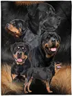 Флисовое одеяло Rottweiler собака шерсть 60x80 дюймов покрывало для кровати гобеленовое одеяло подарок на Рождество, Новый Год, Папа, мама, сын, дочь