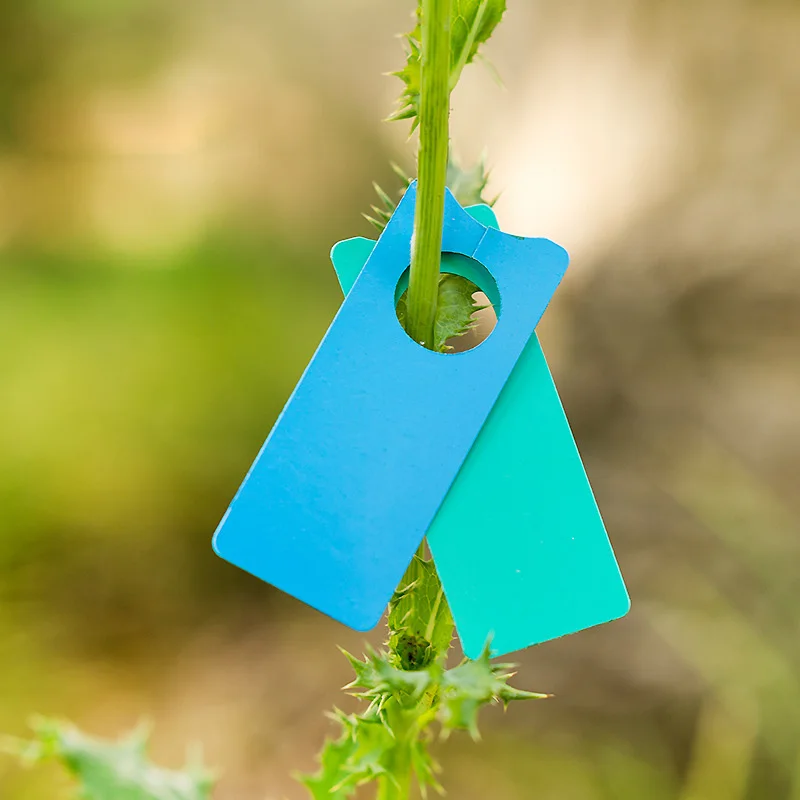 100 шт./лот пластиковые маркеры для растений сада кольцо бирка инструменты