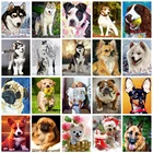 Алмазная живопись собака полная квадратнаякруглая дрель 5D Сделай Сам Алмазная вышивка животные мозаика распродажа Стразы искусство домашний декор