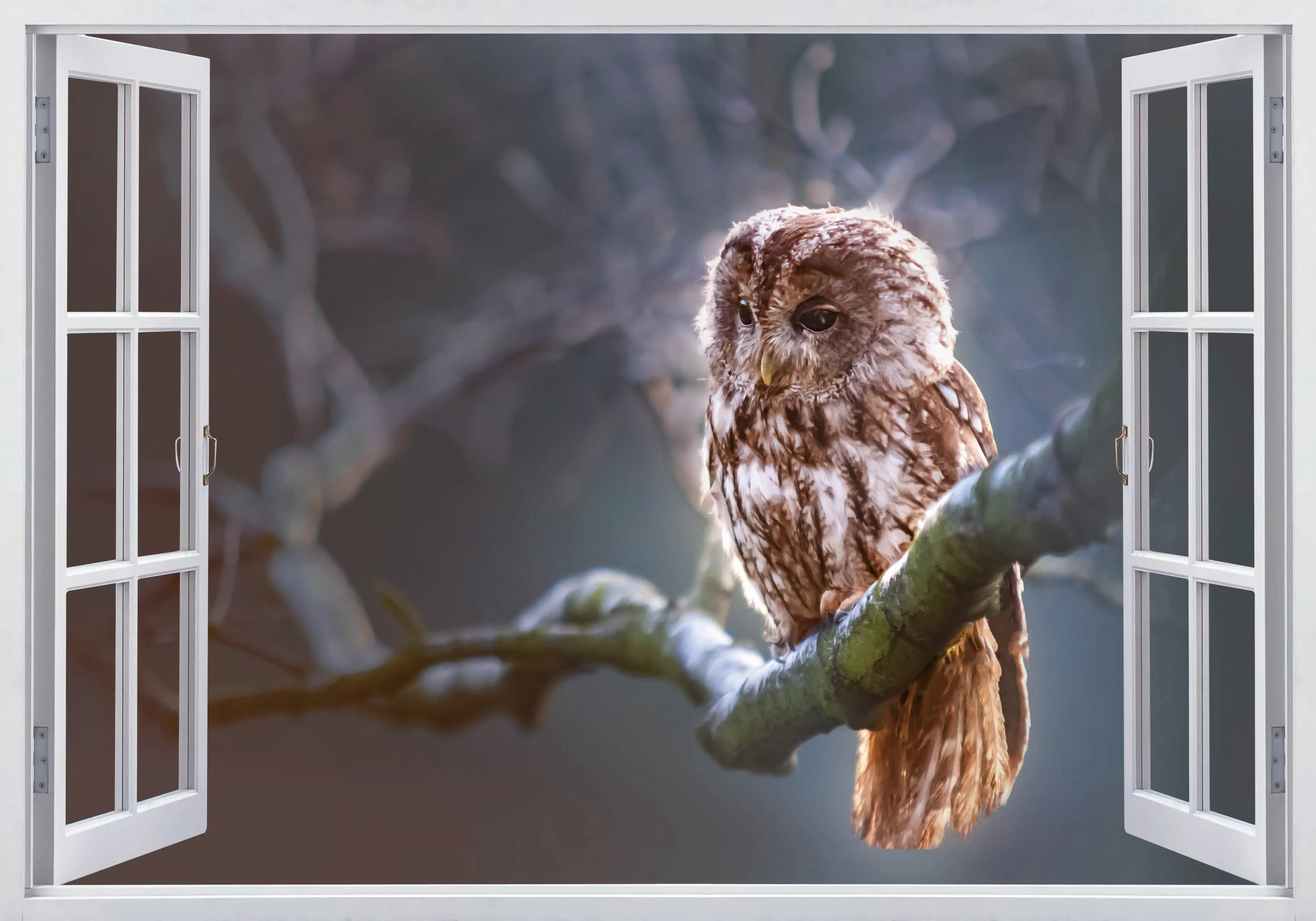 3D Горячая оконная рама ночной с рисунком в виде сов Окна настенные виниловые