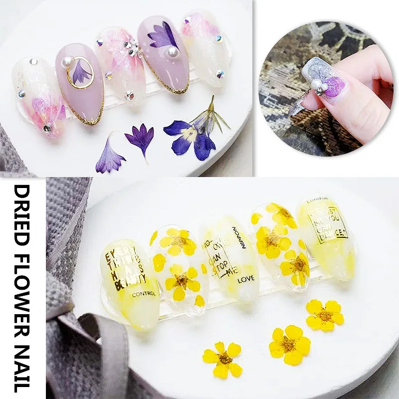 

1 Box of Japanese Nail Art Natural Dried Flowers and Leaves Mixed Nail Art Decals DIY Nails Art Decoration Accessories Wholesale
