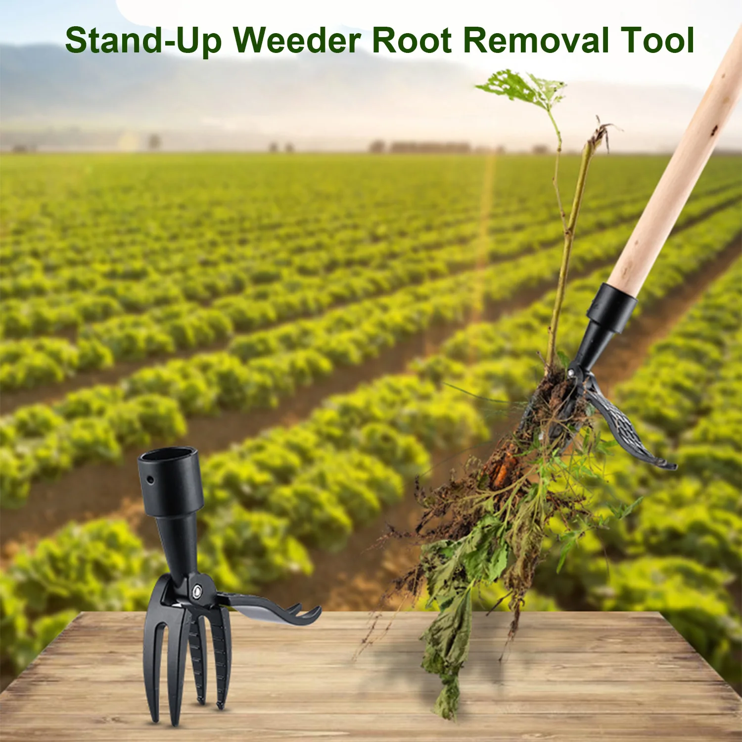 

Stand up weed puller