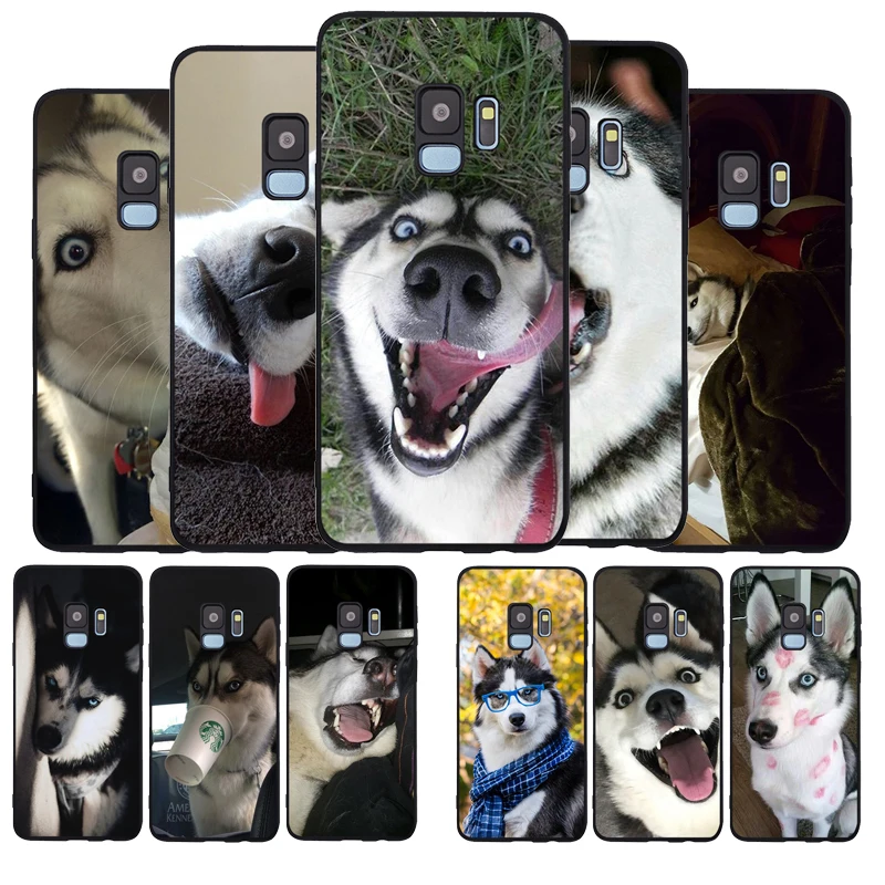 Черные Мягкие силиконовые чехлы Забавный чехол для телефона Хаски Samsung Galaxy S8 S9 S10