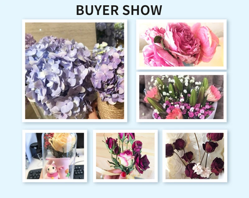 500 г нетоксичный многоразовый силикагель песок кристаллы для сушки цветов DIY