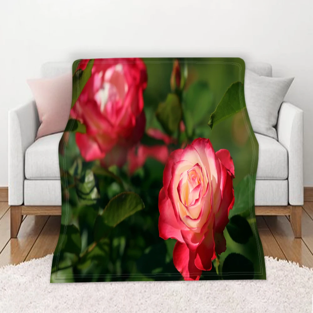 

2021 Rose Blumen Decke Fit Couch Sofa Liege Für Schlafzimmer Glas Rose Blumen Decke Flanell Leichte 59x86 zoll