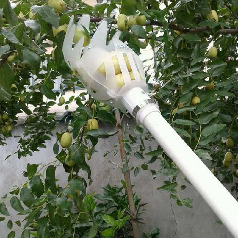

Fruit Picker Tool Picking Tool Fruit Cathcer Quicker Gardening Farm Catcher Outside Device Garden Hardware