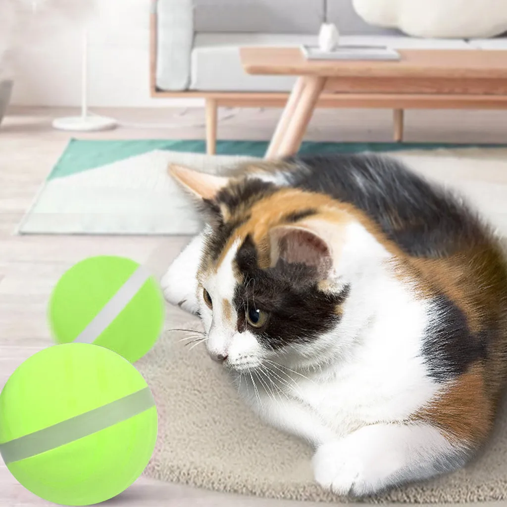 Милые кошачьи игрушки злой мяч новый дизайн интересные собака игрушка