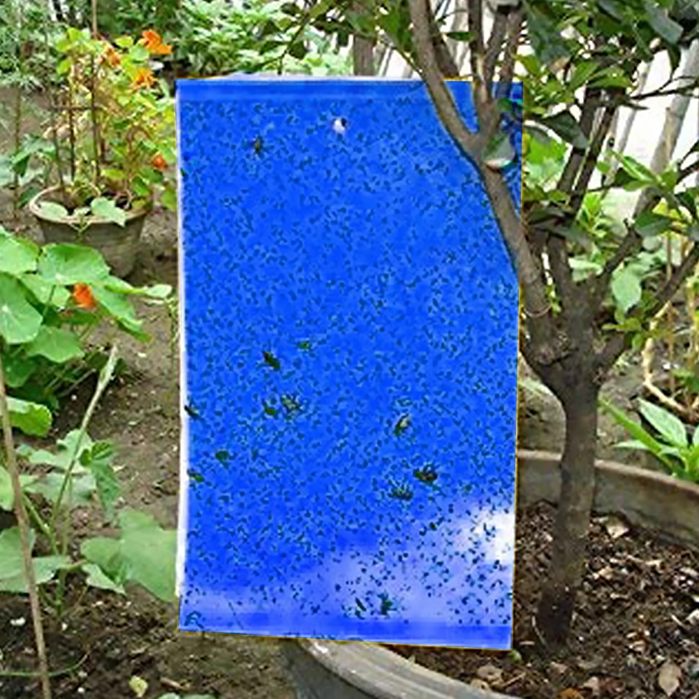 

Household Security Protection Accessaries 10pcs Strong Flies Traps Bugs Sticky Board Catching Aphid Insects Pest Killer
