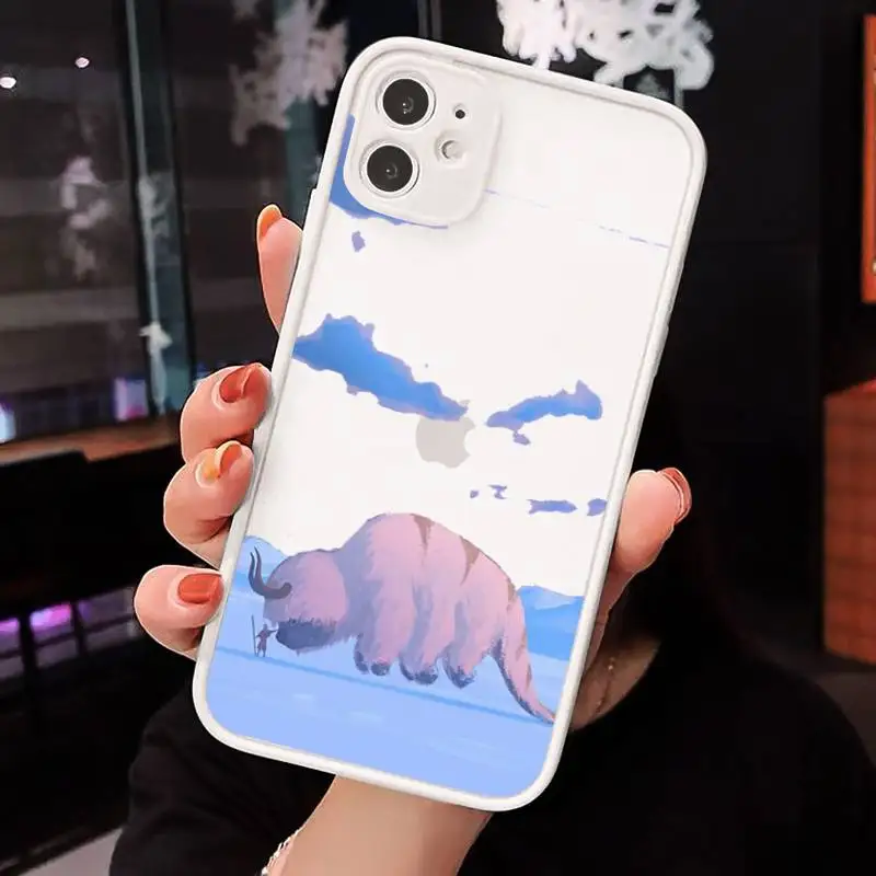

Anime avatar the last airbender Phone Cases matte transparent For iphone 7 8 11 12 plus mini x xs xr pro max cover