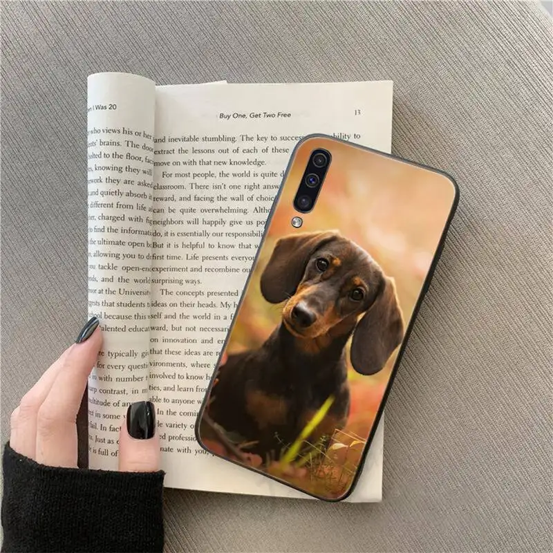 

Dachshund pet dog Cute animal Phone Case For Samsung galaxy S 9 10 20 A 10 21 30 31 40 50 51 71 s note 20 j 4 2018 plus