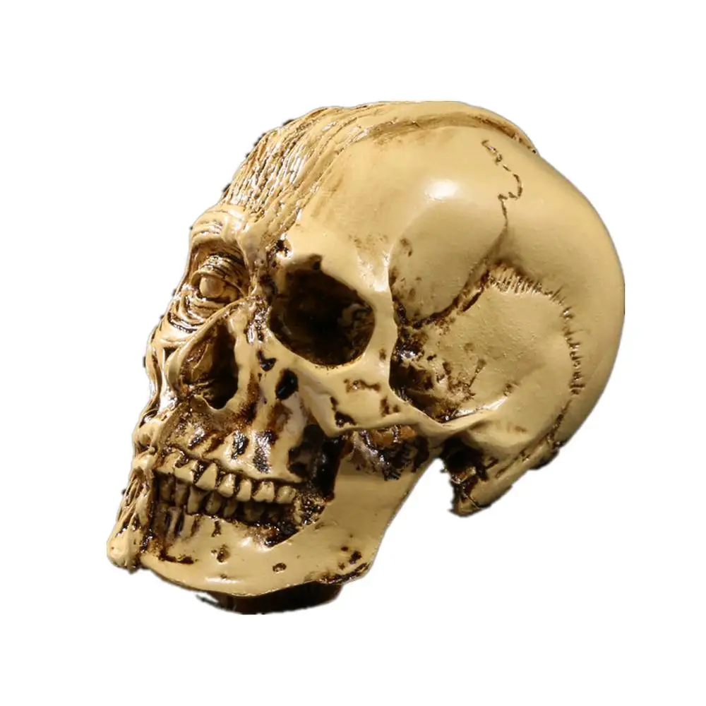 Искусственный череп из смолы модель искусственный Скелет человека декоративный