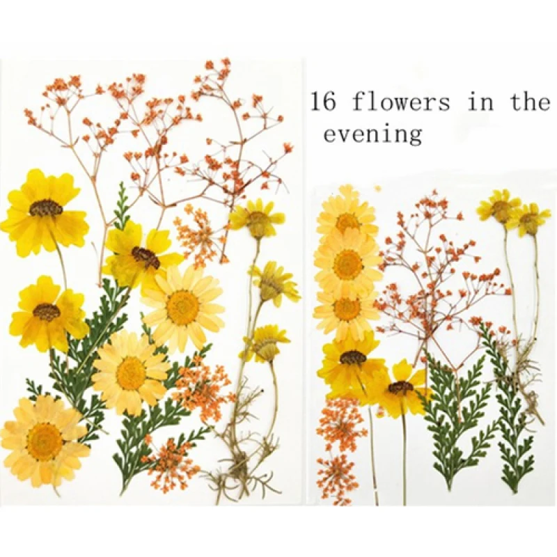 Настоящий цветок прессованный сетчатая красная наклейка на углы глаз лепесток