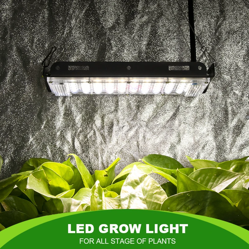 

Indoor LED Grow Light 800W Phyto Lamp Full Spectrum Lamp For Plant Grow Tent Light For Plants Warm White Waterproof Led Fitolamp